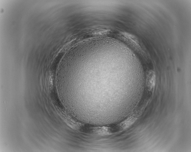 X0000060750363200511141205