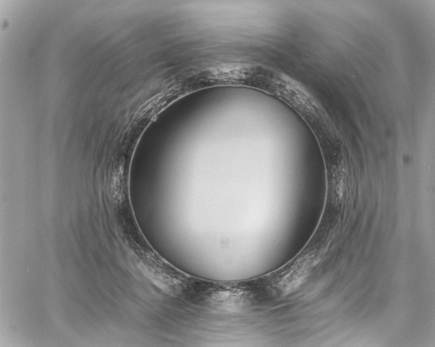 X0000060750364200511141205