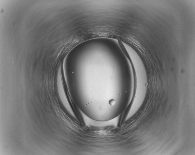 X0000060750365200511141205