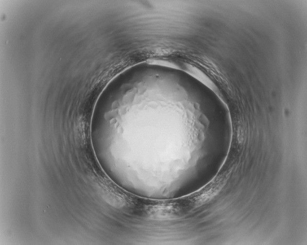 X0000060750366200511141205