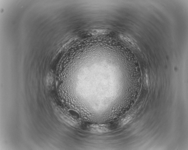 X0000060750367200511141205