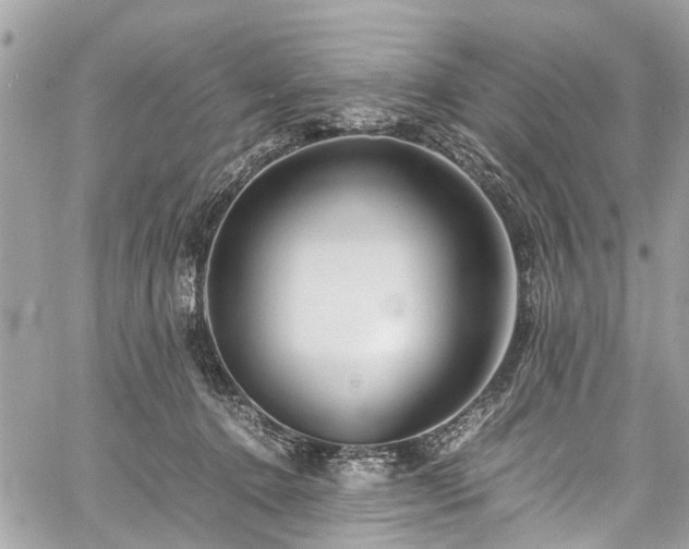 X0000060750368200511141205