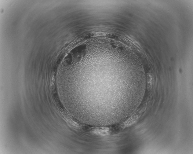 X0000060750369200511141205