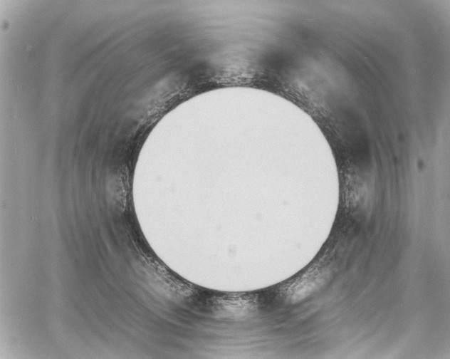 X0000060750370200511141205