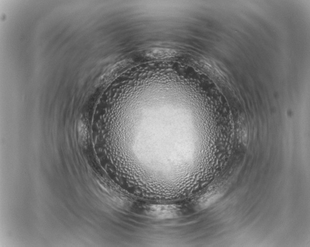 X0000060750371200511141205