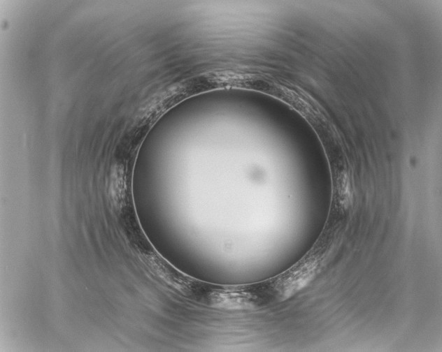 X0000060750372200511141205