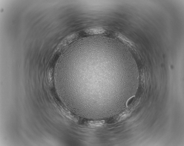 X0000060750373200511141205