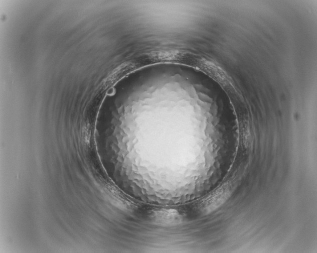 X0000060750374200511141205