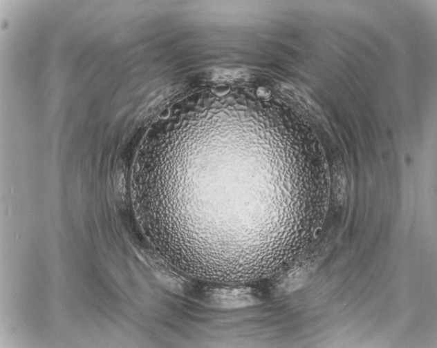 X0000060750375200511141205