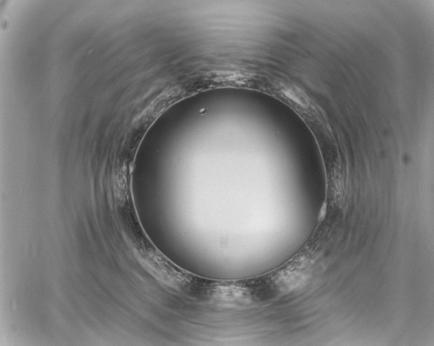 X0000060750376200511141205