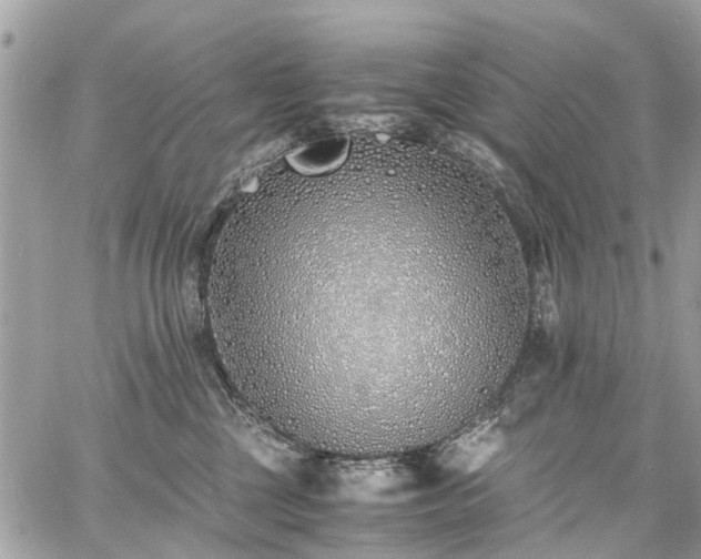 X0000060750377200511141205