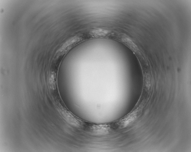 X0000060750378200511141205