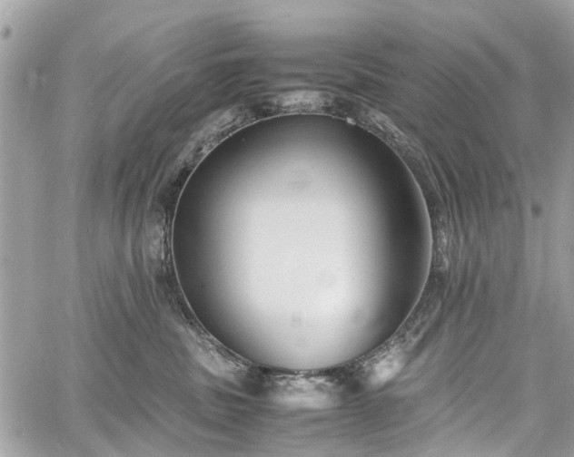 X0000060750379200511141205