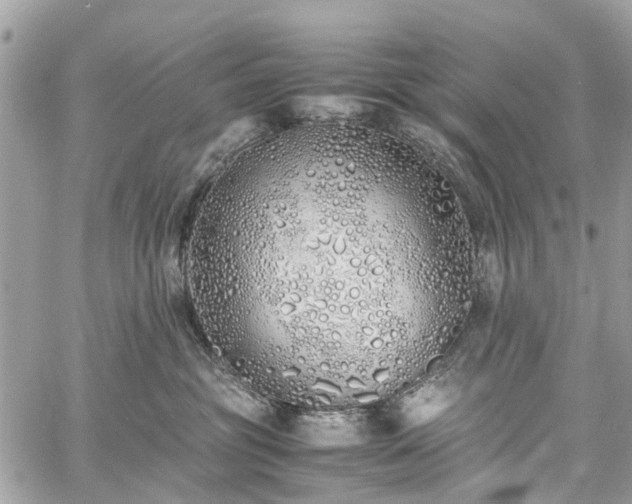 X0000060750381200511141205