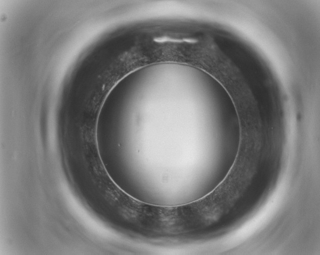 X0000060750382200511141205