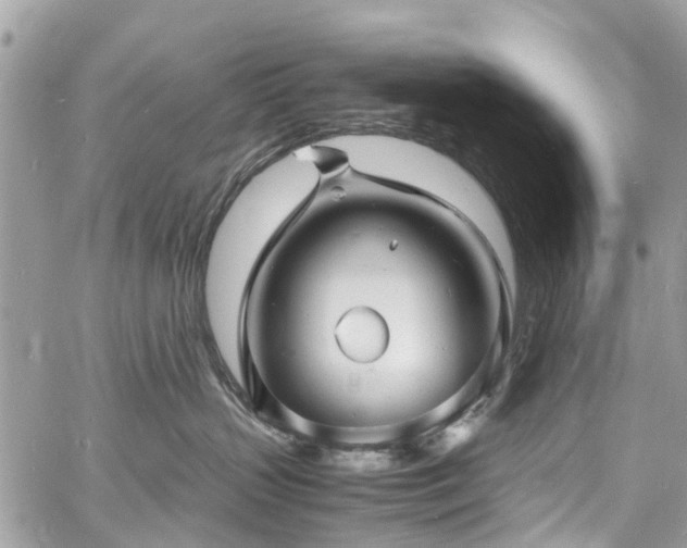 X0000060750383200511141205