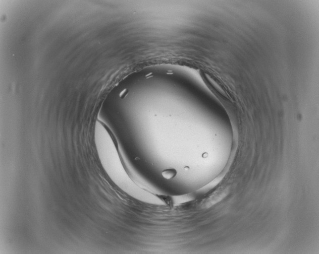 X0000060750384200511141205