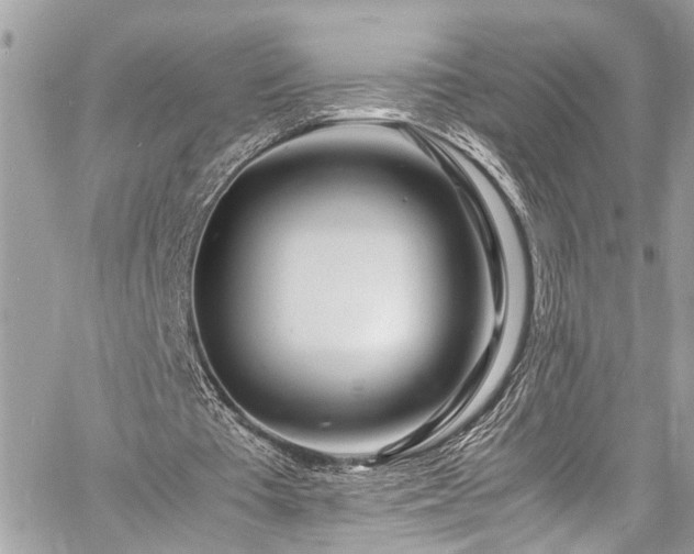 X0000060750385200511141204