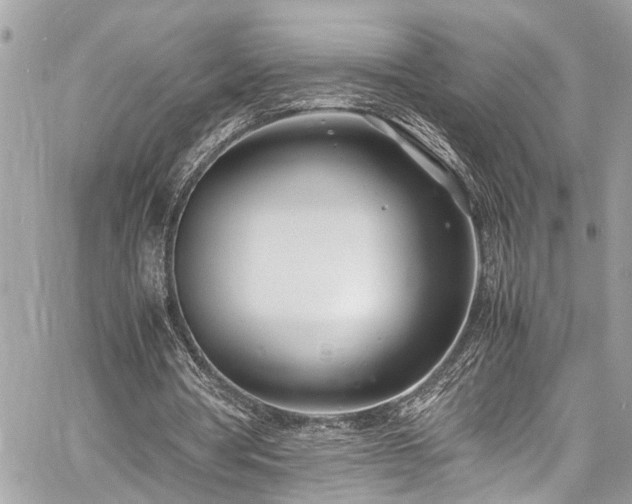 X0000060750386200511141204