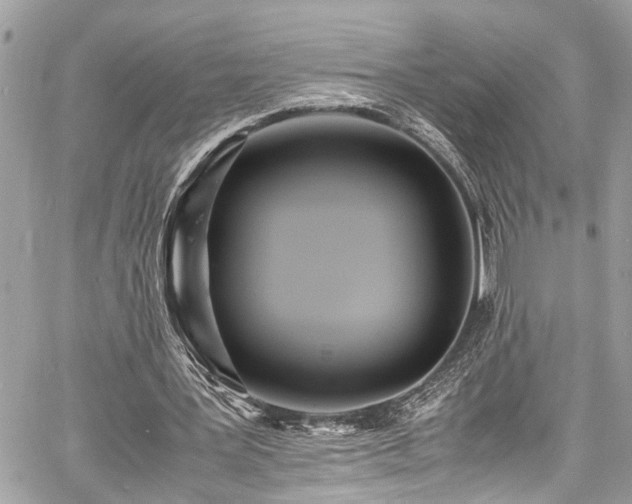 X0000060750387200511141204