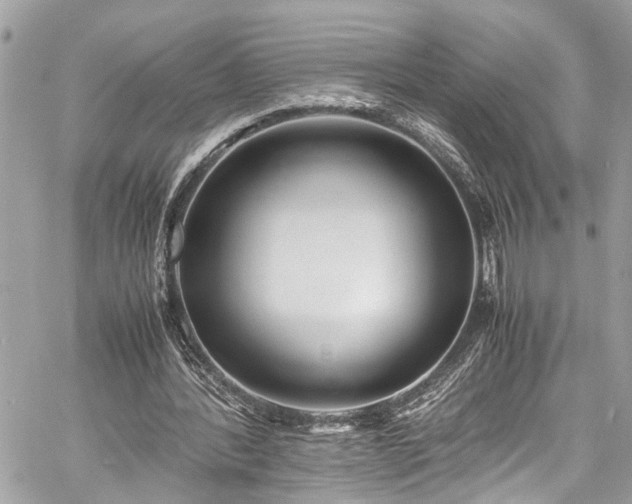 X0000060750388200511141204