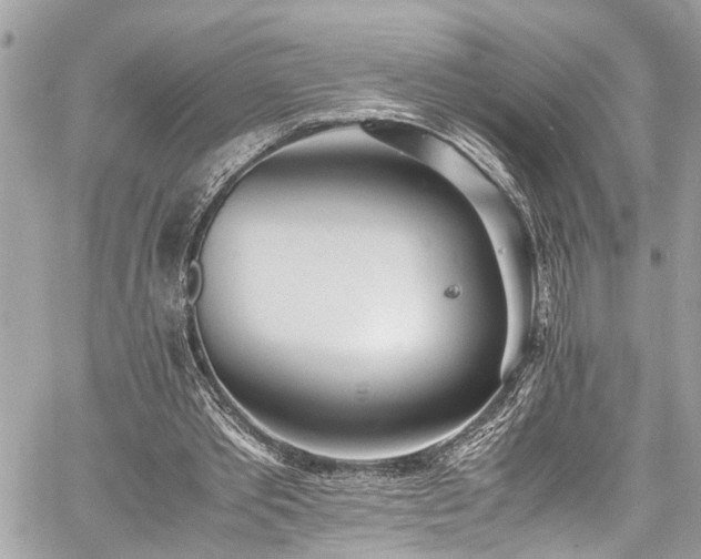 X0000060750389200511141204