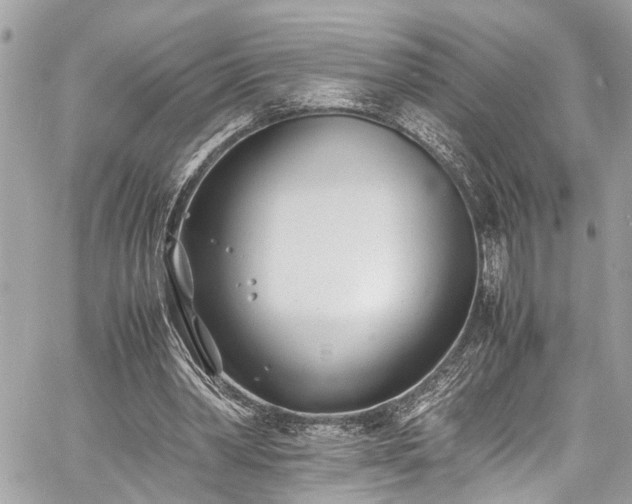 X0000060750390200511141204