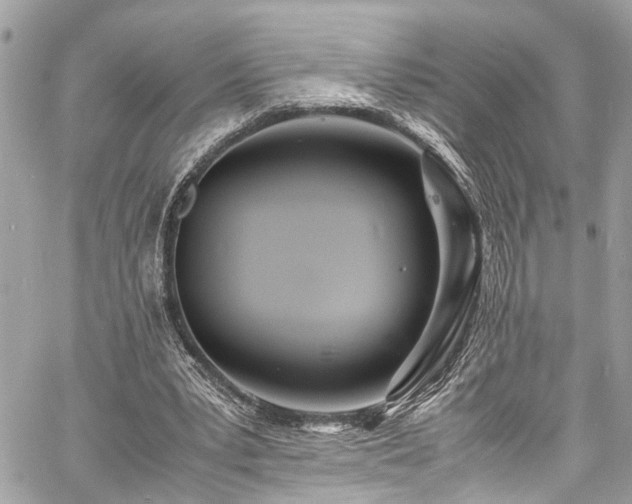 X0000060750391200511141204