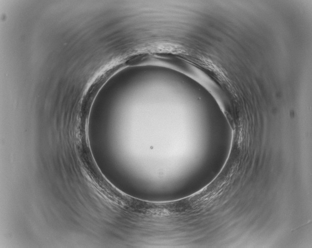 X0000060750392200511141204