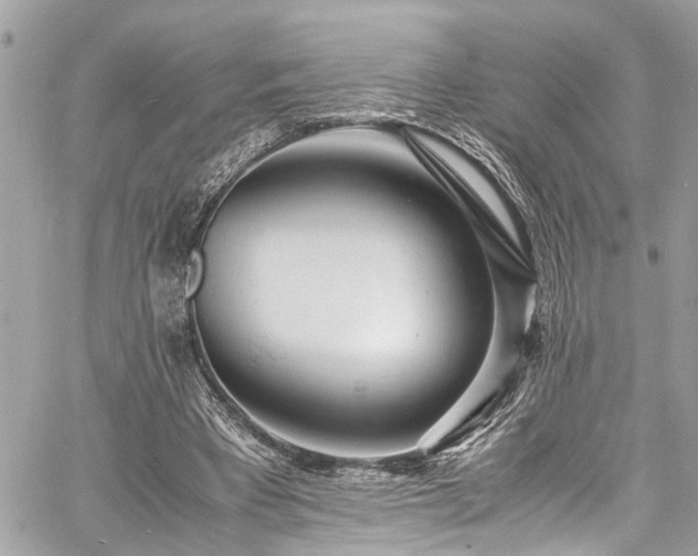 X0000060750393200511141204