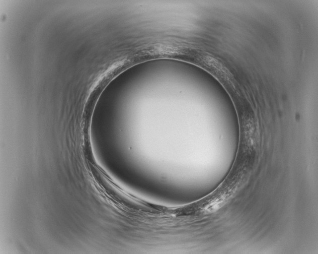 X0000060750395200511141204