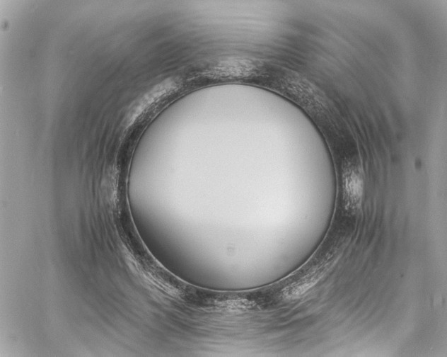 X0000060750396200511141204