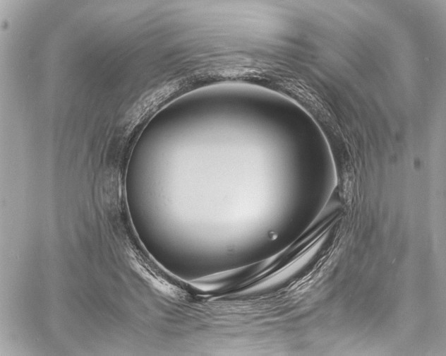 X0000060750397200511141204