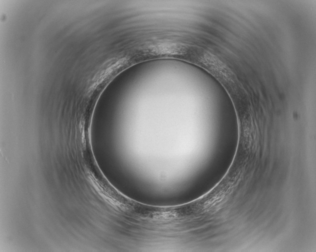 X0000060750398200511141204