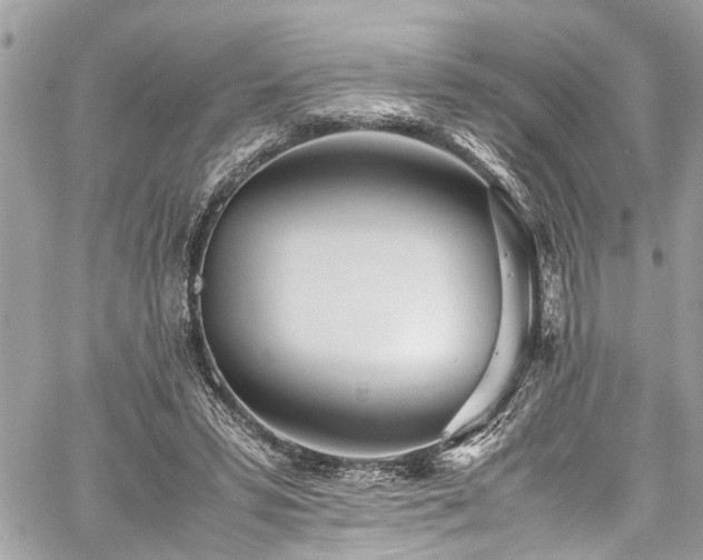 X0000060750399200511141204