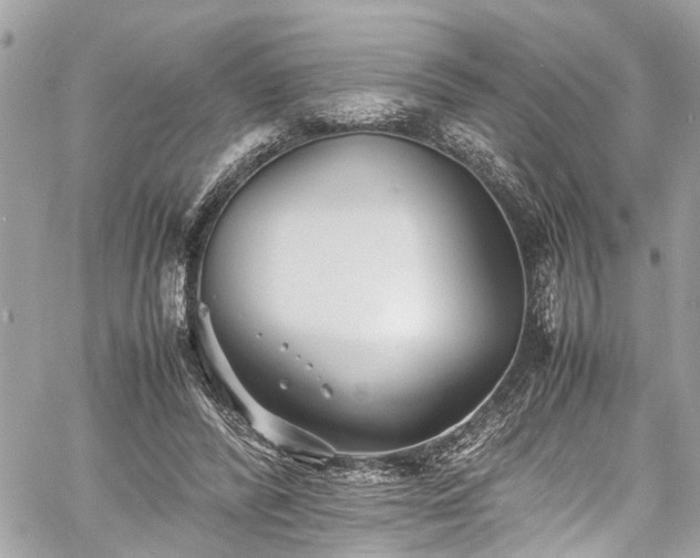 X0000060750400200511141204