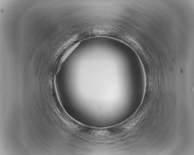 X0000060750401200511141204