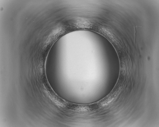 X0000060750402200511141204