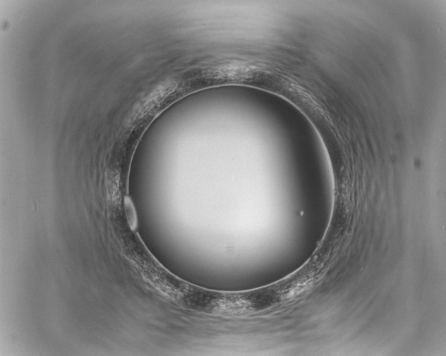 X0000060750403200511141204