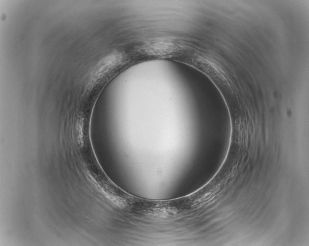 X0000060750404200511141204