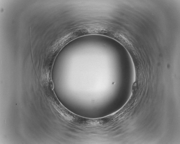 X0000060750405200511141204