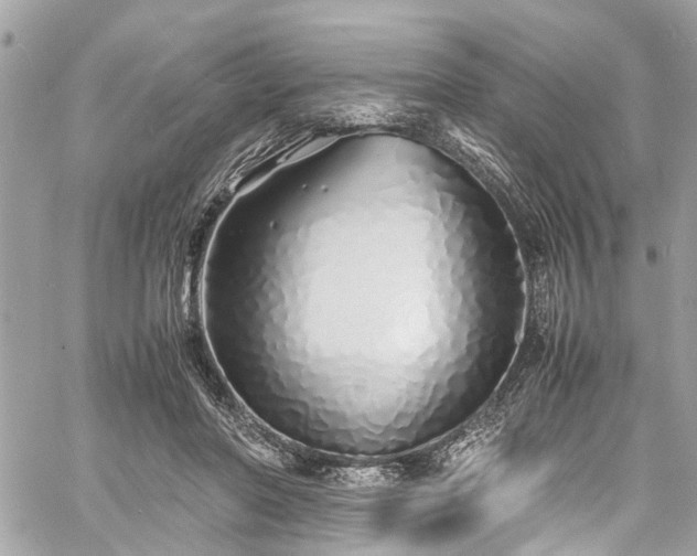 X0000060750406200511141204