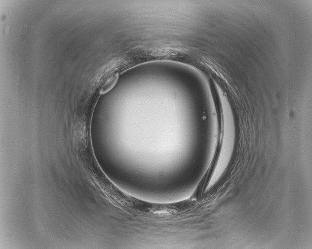 X0000060750407200511141204