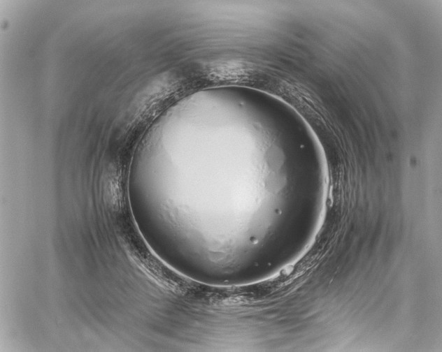 X0000060750408200511141204