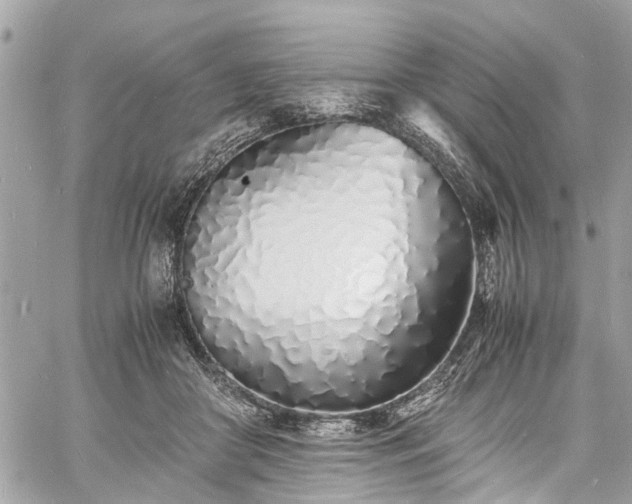 X0000060750410200511141204