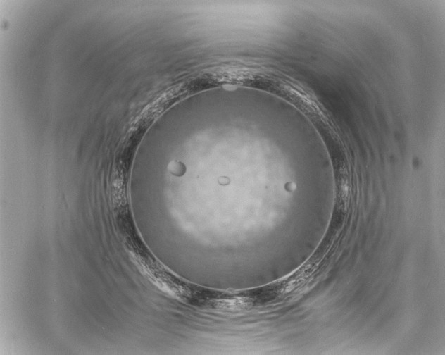 X0000060750411200511141204