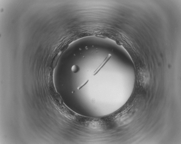 X0000060750412200511141204