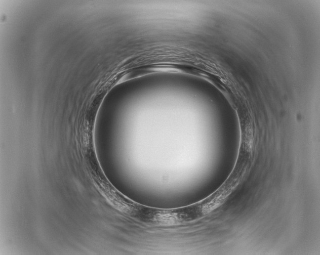 X0000060750413200511141204