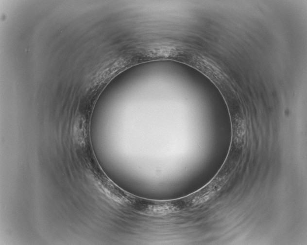 X0000060750414200511141204