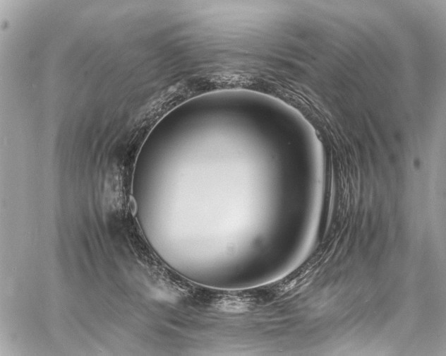 X0000060750416200511141204